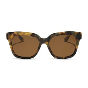 BELLA XS - BROWN KOMBU   BROWN   POLARIZED SUNGLASSES